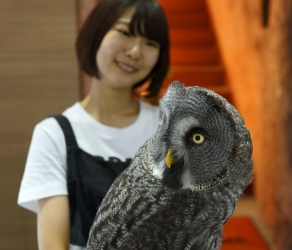 Owl restaurant.jpg